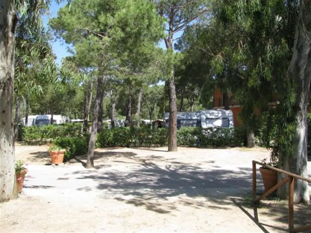 Campeggio Ville degli Ulivi