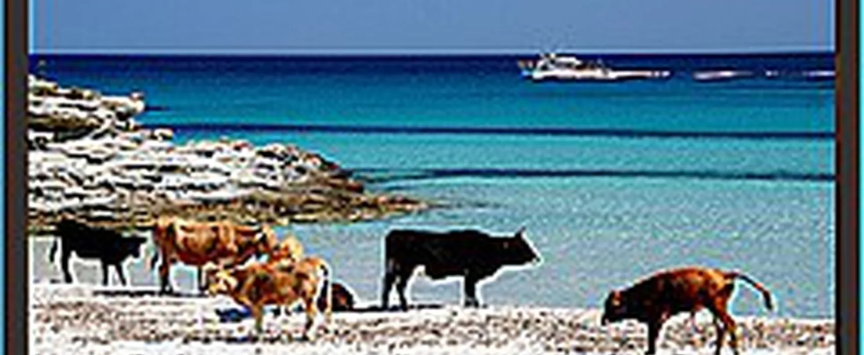 Camping Clos Des Chenes  