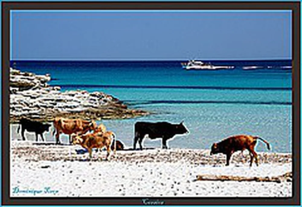 Camping Clos Des Chenes  