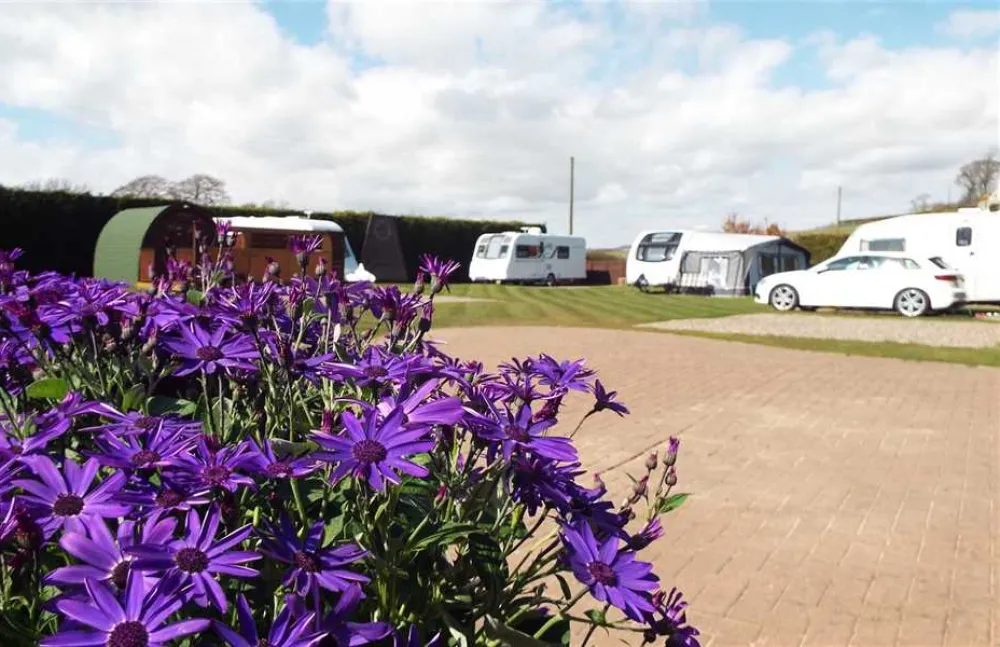 Woodland Gardens Caravan and Camping Site