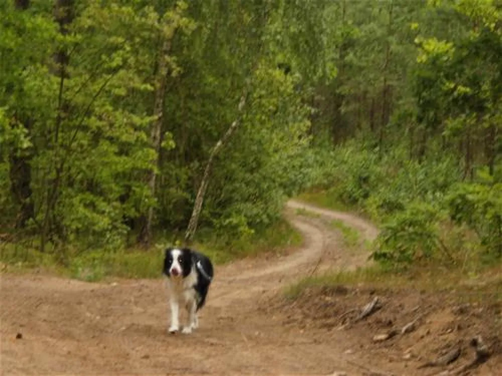 Masuren Camping 173 Herkus in Dywity