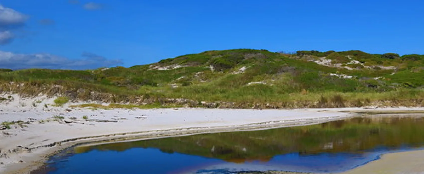 Policemans Point Campground