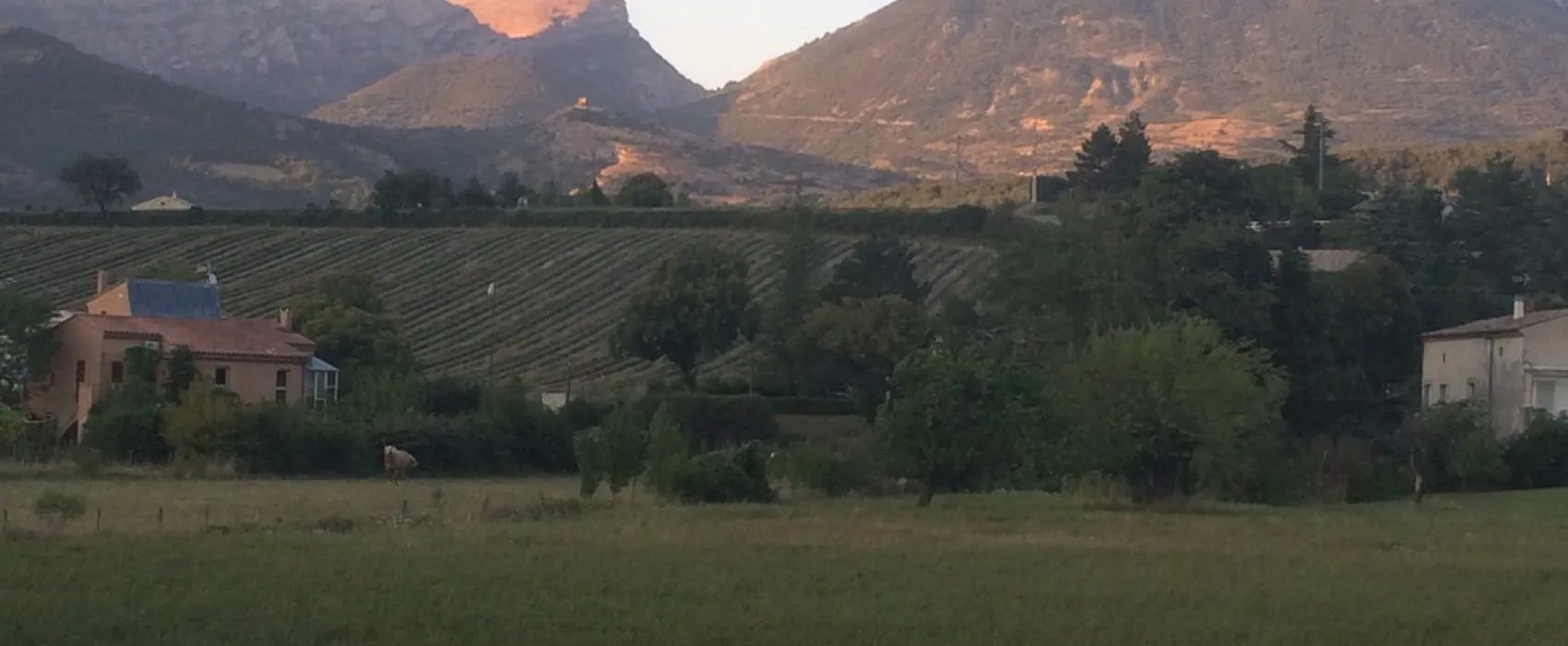 Municipal Le Cap des Tortelles