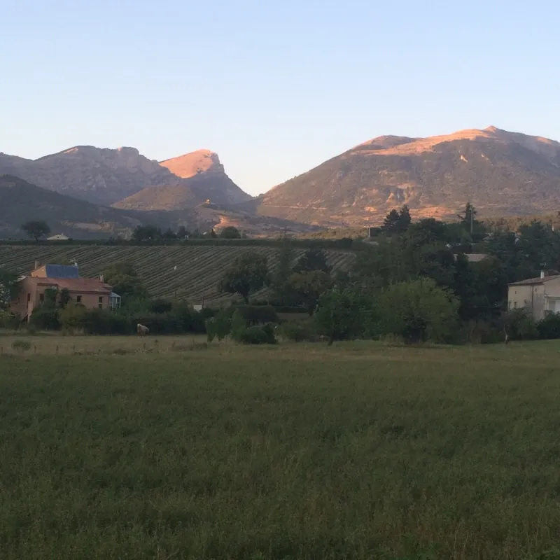 Municipal Le Cap des Tortelles