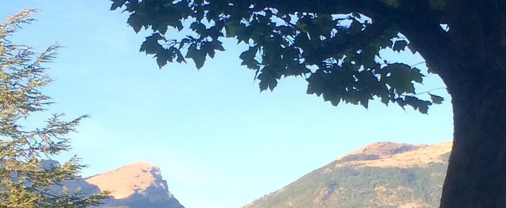 Municipal Le Cap des Tortelles