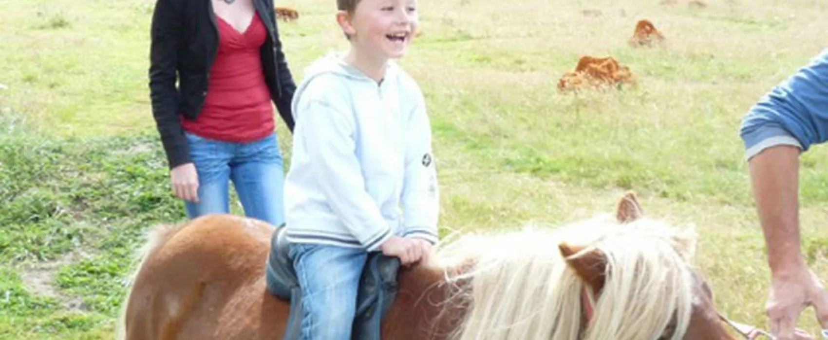 Camping Les P'tites Maisons dans la prairie