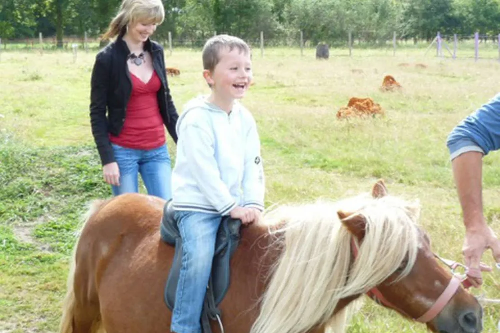 Camping Les P'tites Maisons dans la prairie