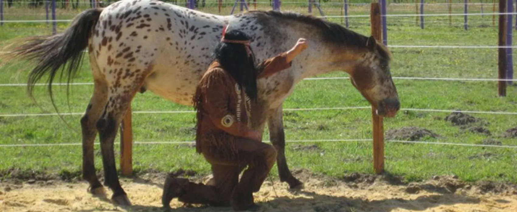 Camping Les P'tites Maisons dans la prairie