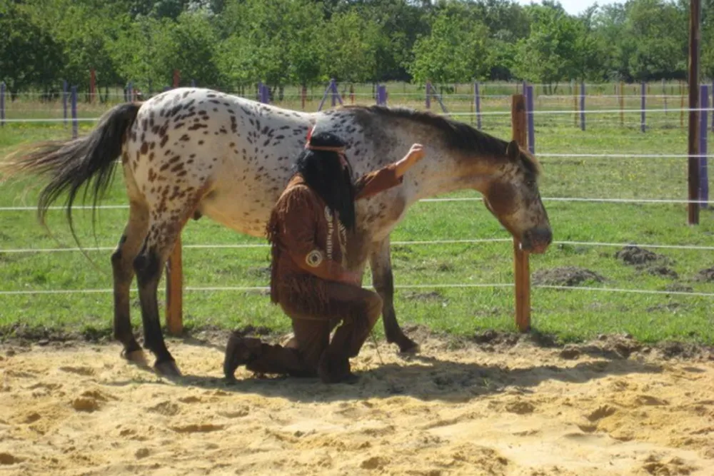Camping Les P'tites Maisons dans la prairie