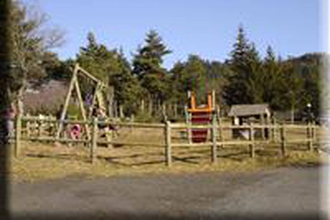 Camping Municipal photo 2