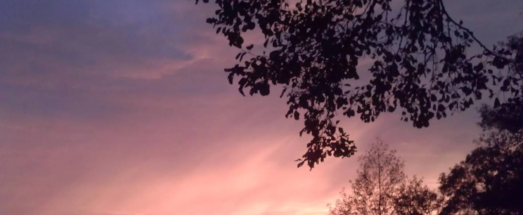 Campingplatz Königsberger See