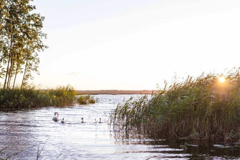 Ermistu Holiday Village