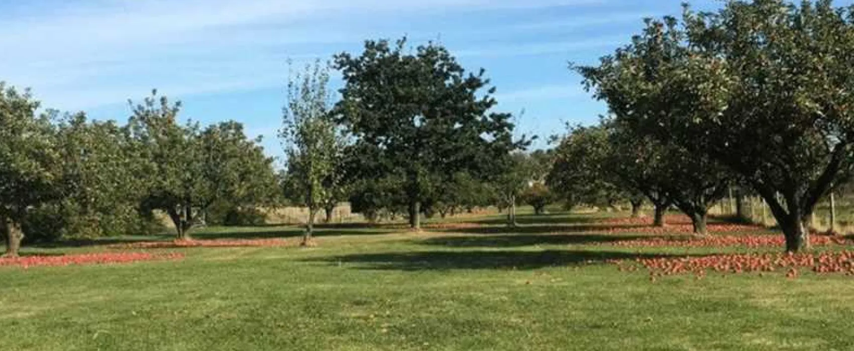 Five Acres Certificated Site