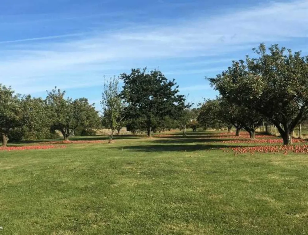 Five Acres Certificated Site