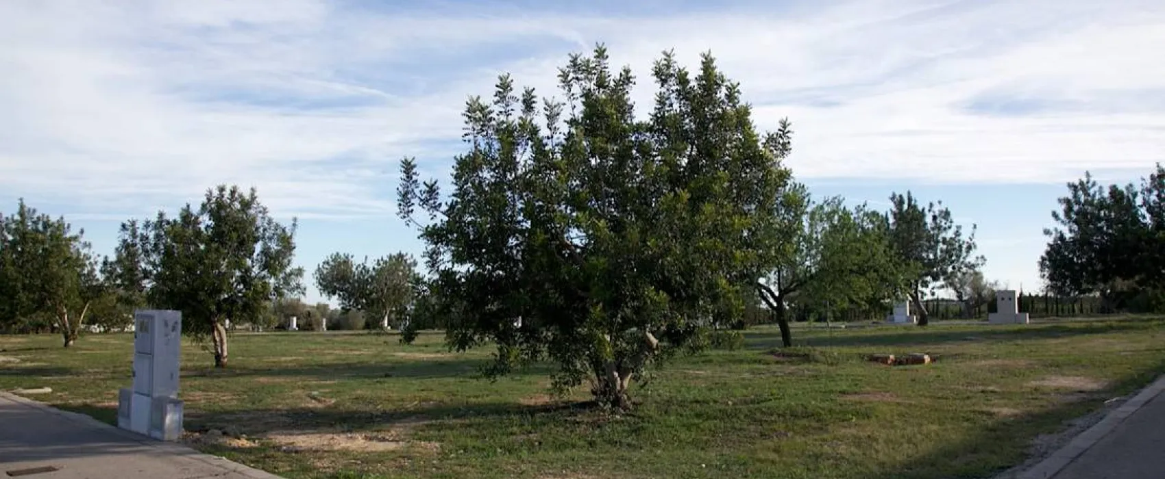 Los Olivos Camping Park