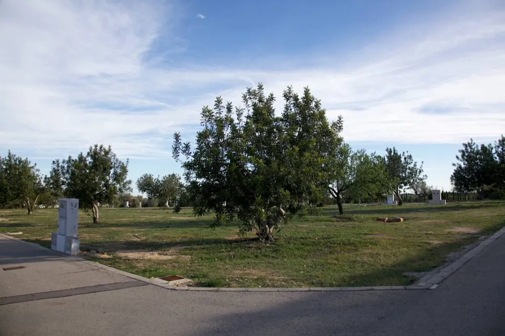 Los Olivos Camping Park