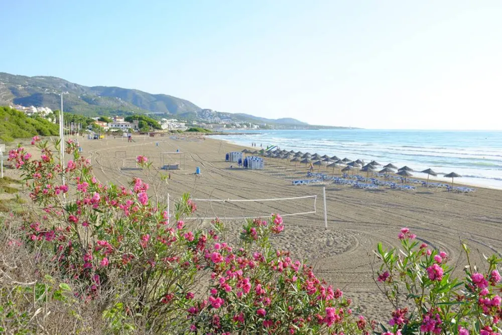 Los Olivos Camping Park