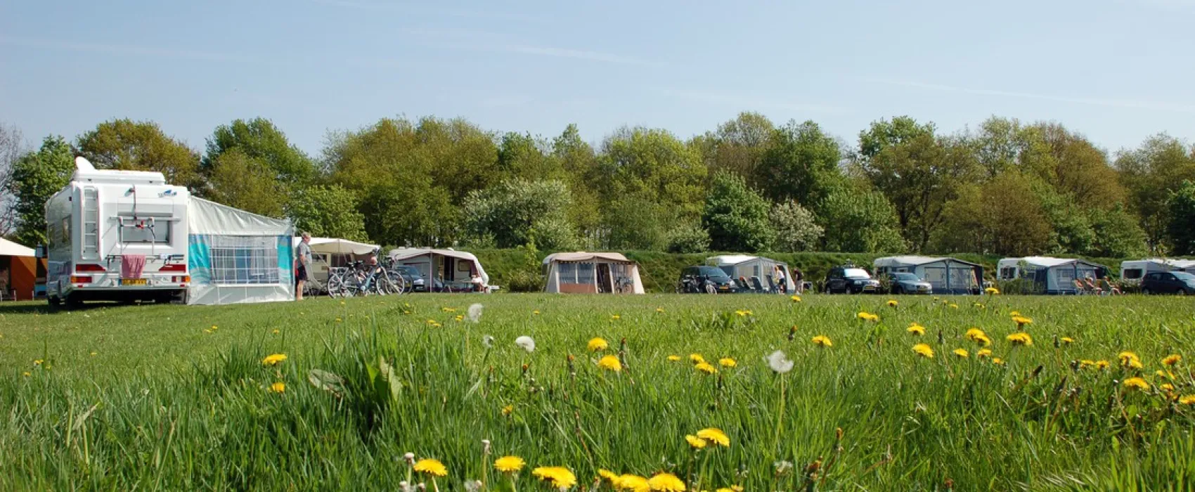 Minicamping Hoeve de Maasduinen