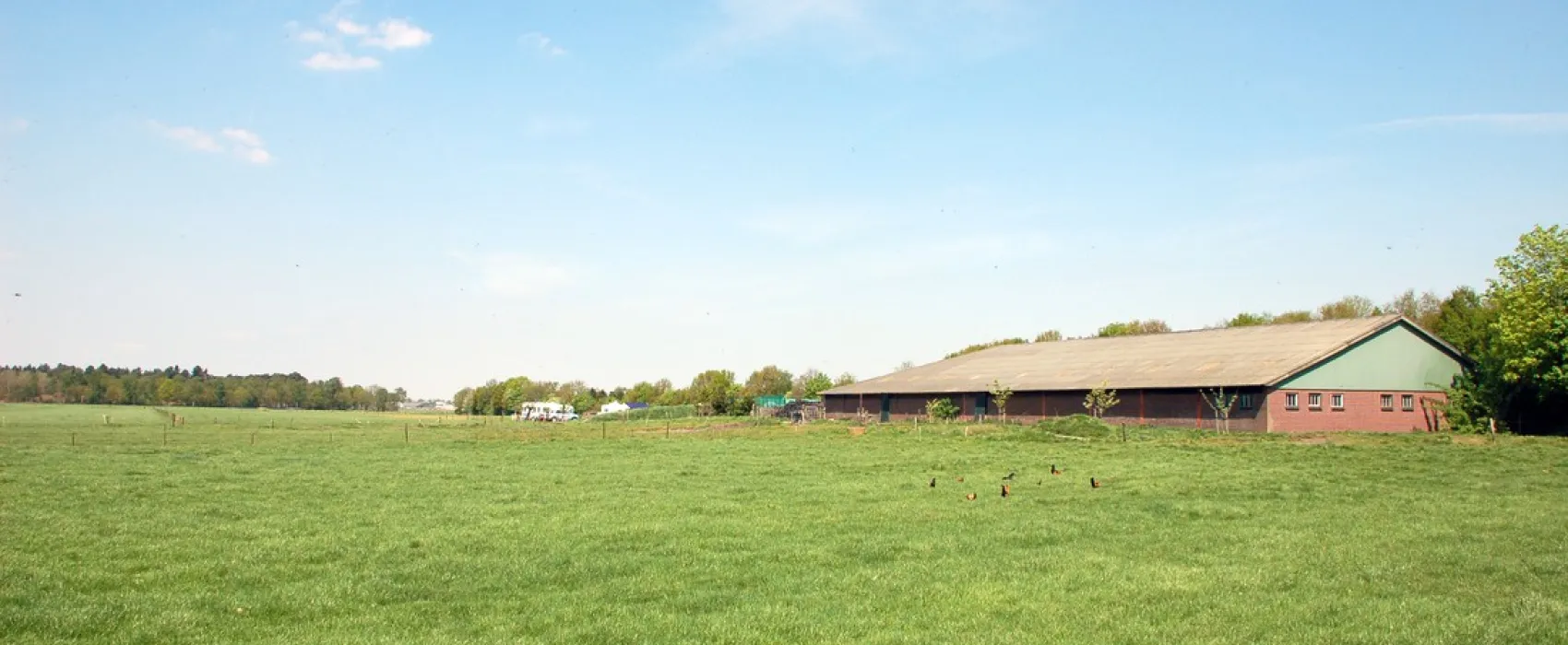 Minicamping Hoeve de Maasduinen