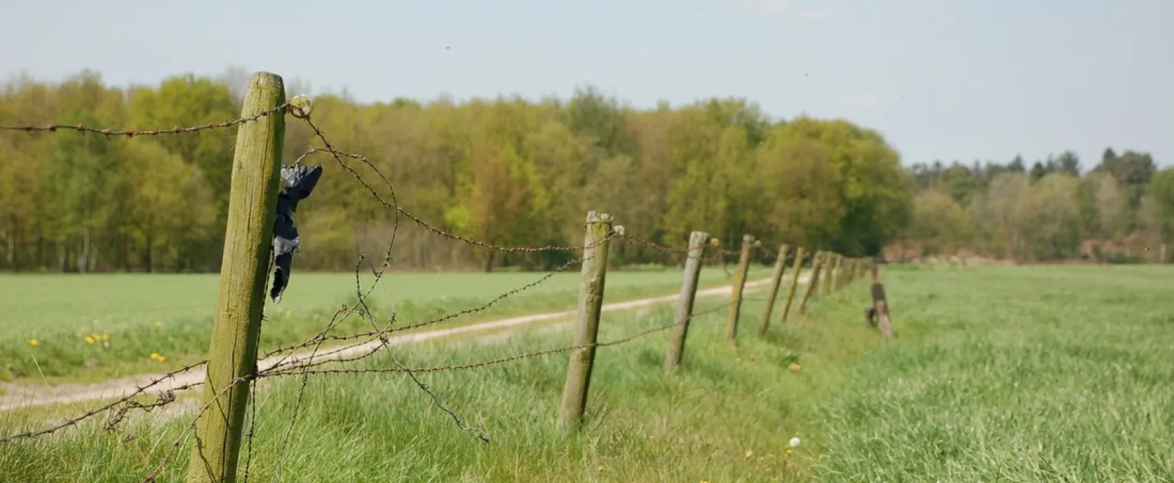 Minicamping Hoeve de Maasduinen