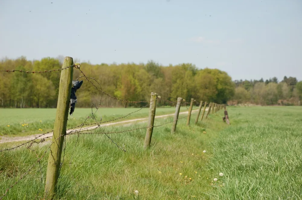 Minicamping Hoeve de Maasduinen