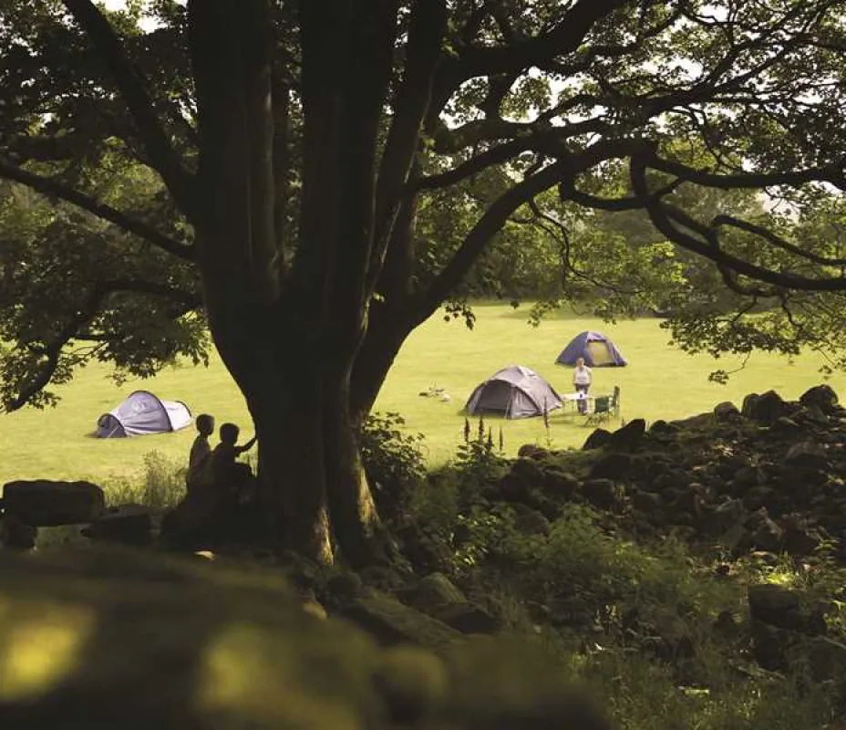 Eskdale Campsite