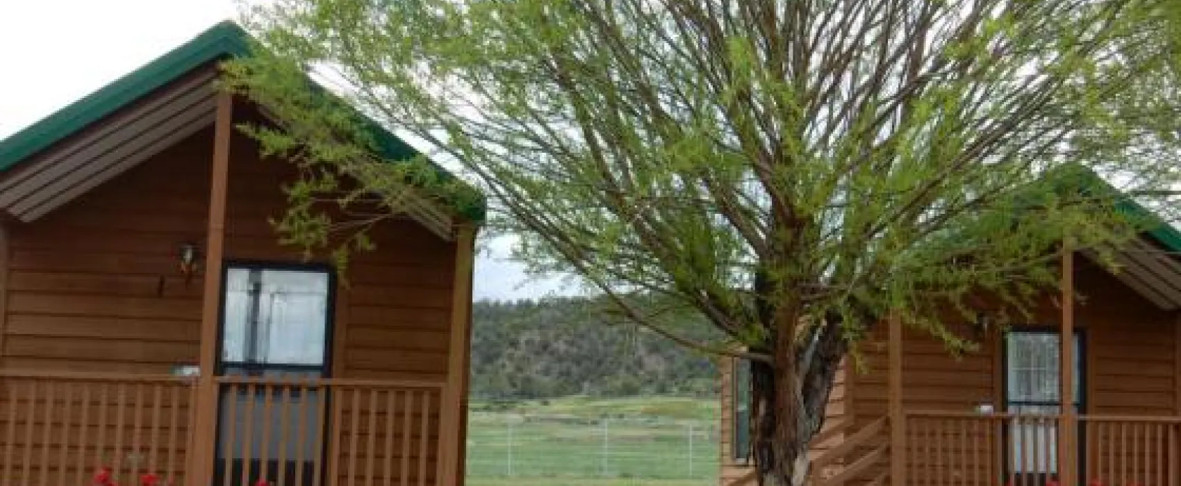 Jellystone Park of Black Canyon