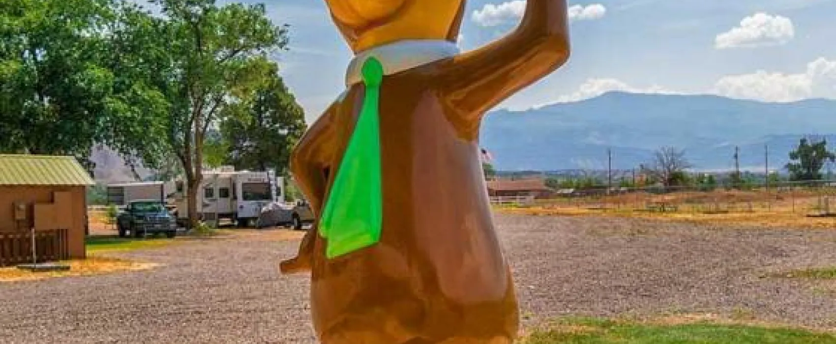 Jellystone Park of Black Canyon