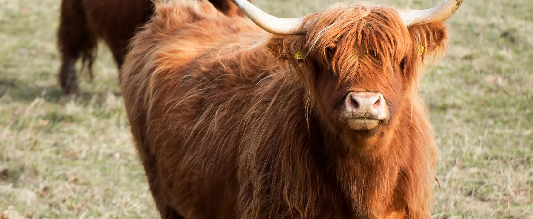 Cafe & Butik Kvarnen, Jurmo Åland