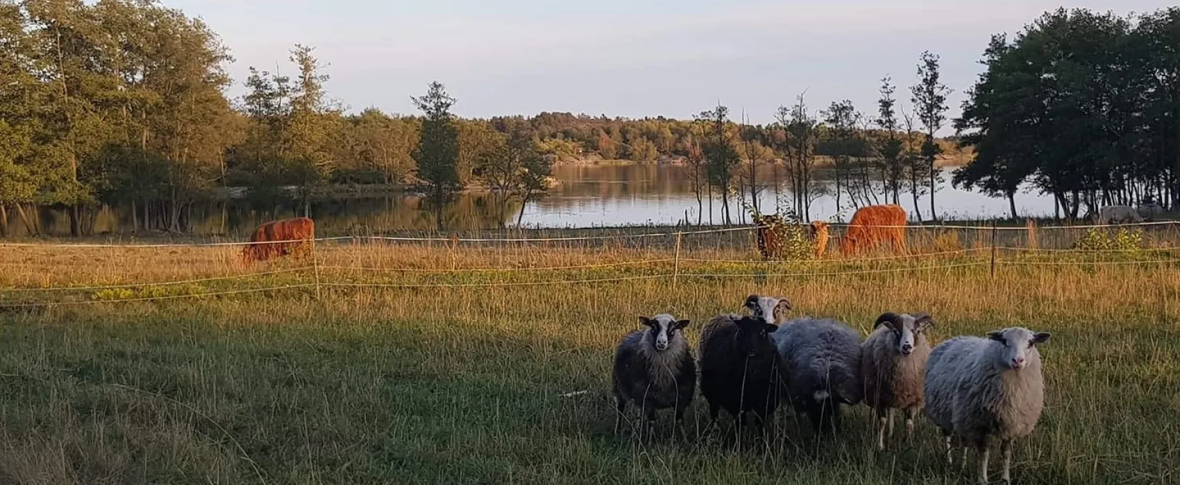 Cafe & Butik Kvarnen, Jurmo Åland