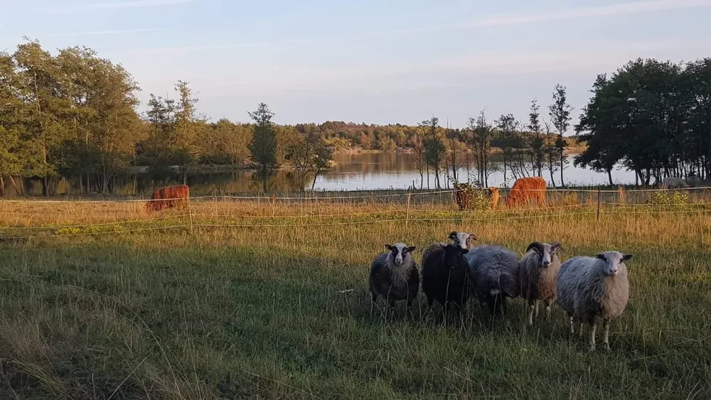 Cafe & Butik Kvarnen, Jurmo Åland