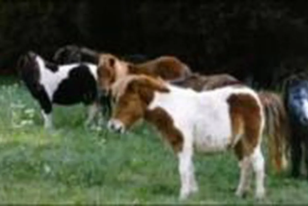 Camping La Bastide d'Albignac