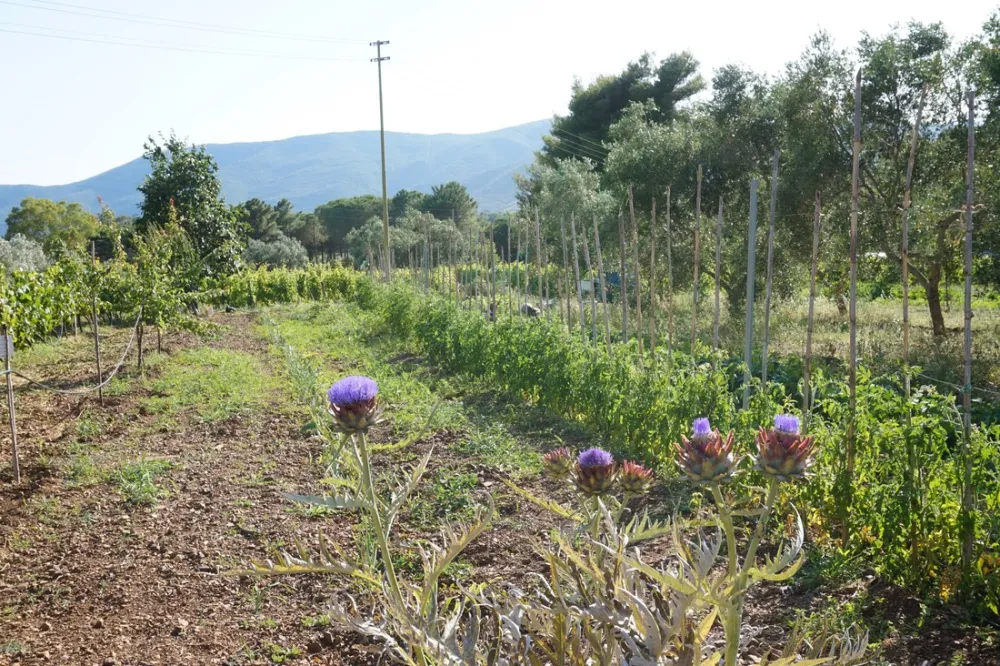 Camping Casa Dei Prati