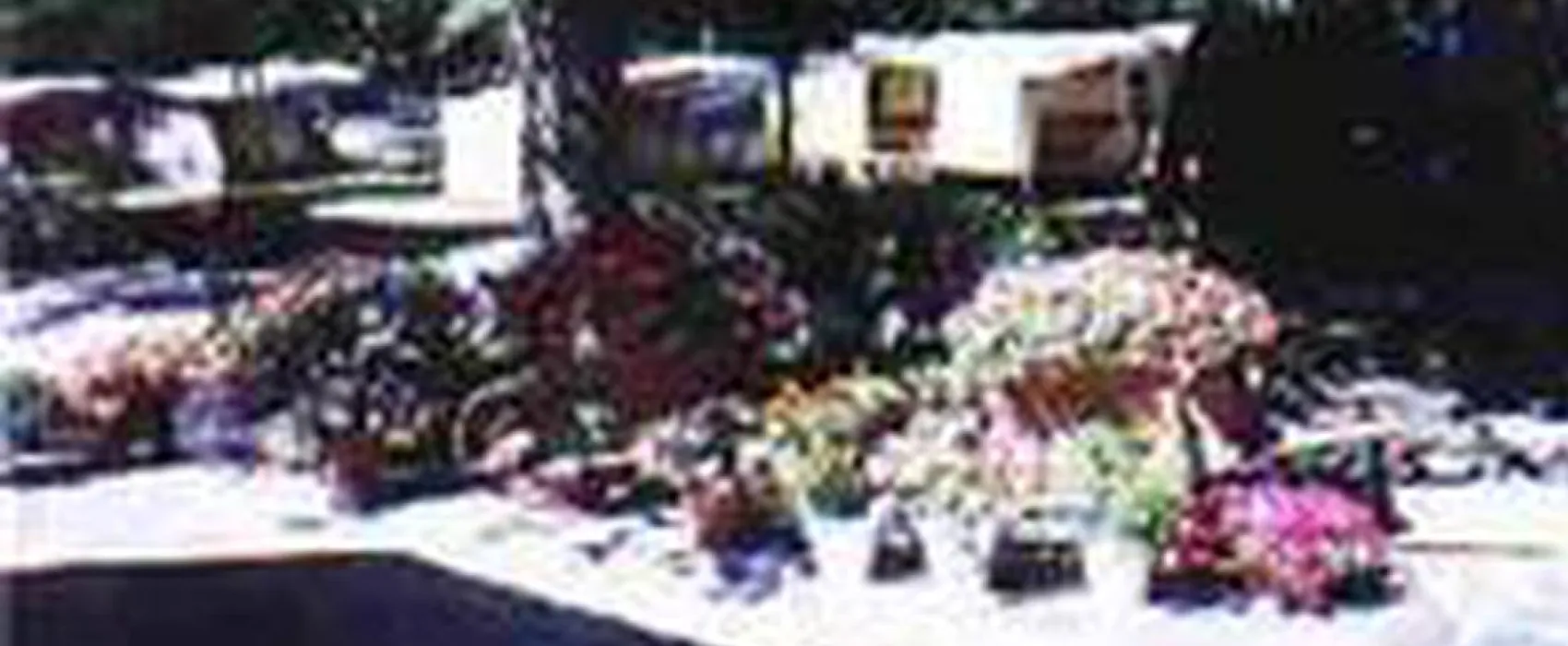 Camping deö Cardós