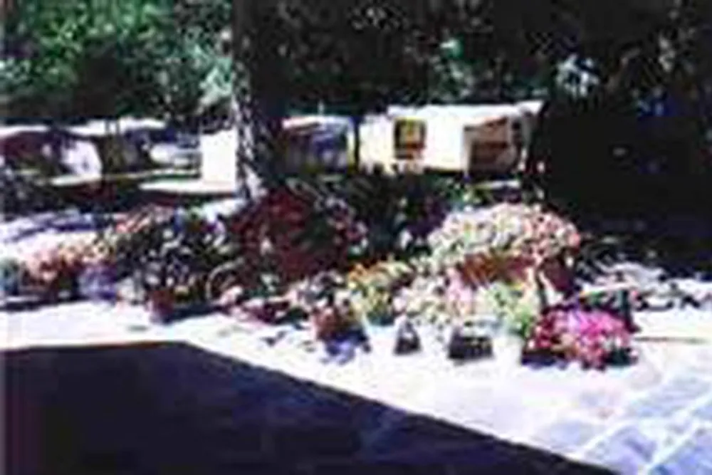 Camping deö Cardós