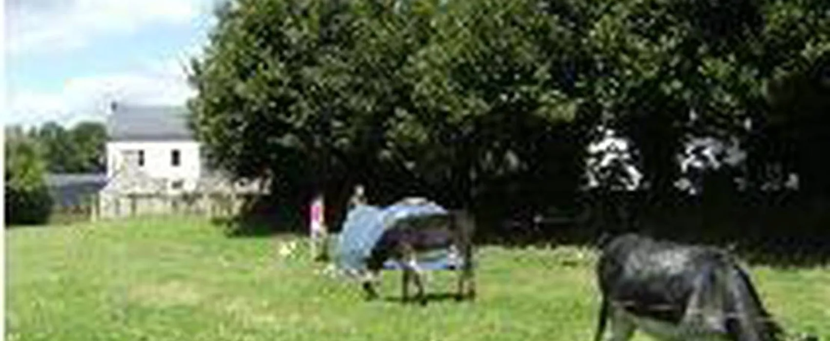 Camping Municipal Sainte- Brigitte