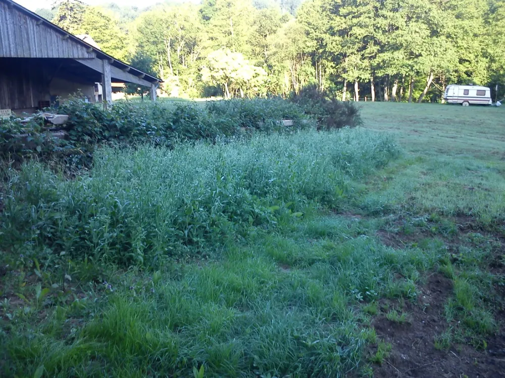 Le Moulin des Sablons