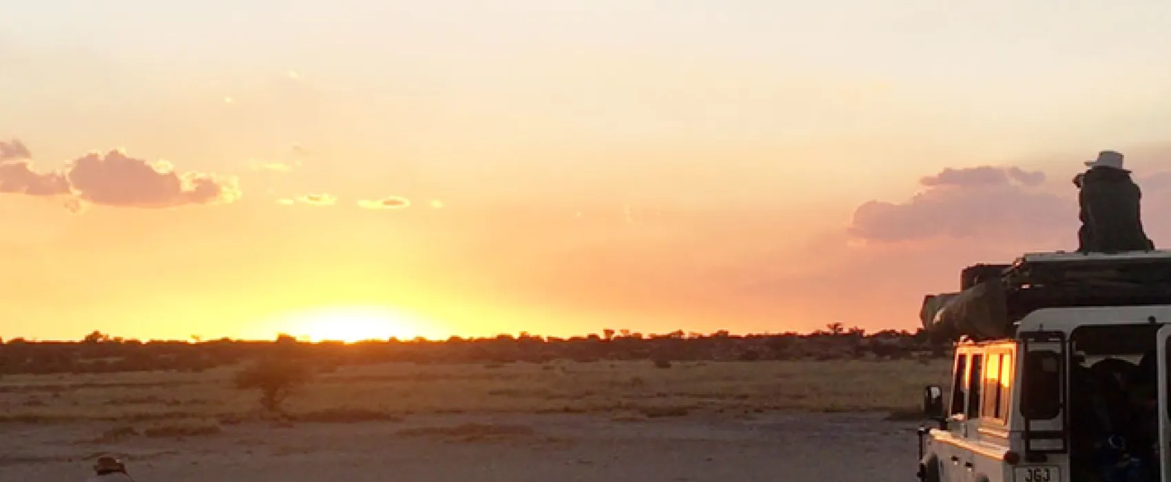 Gecko Kruger Camp Experience