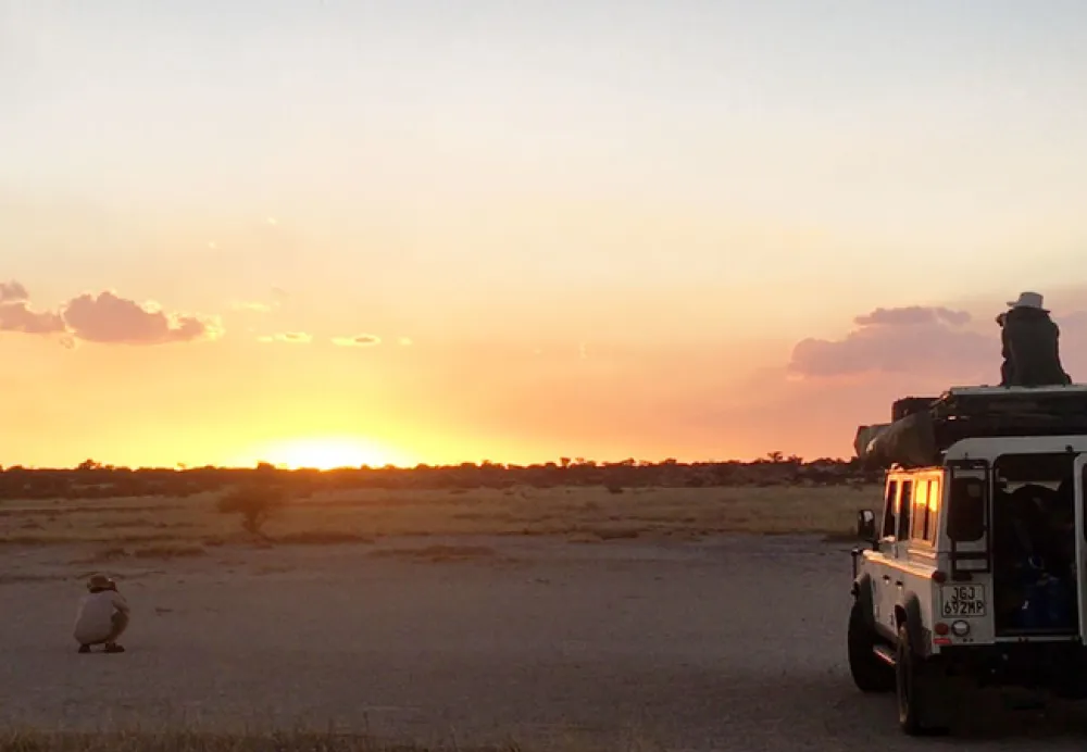 Gecko Kruger Camp Experience