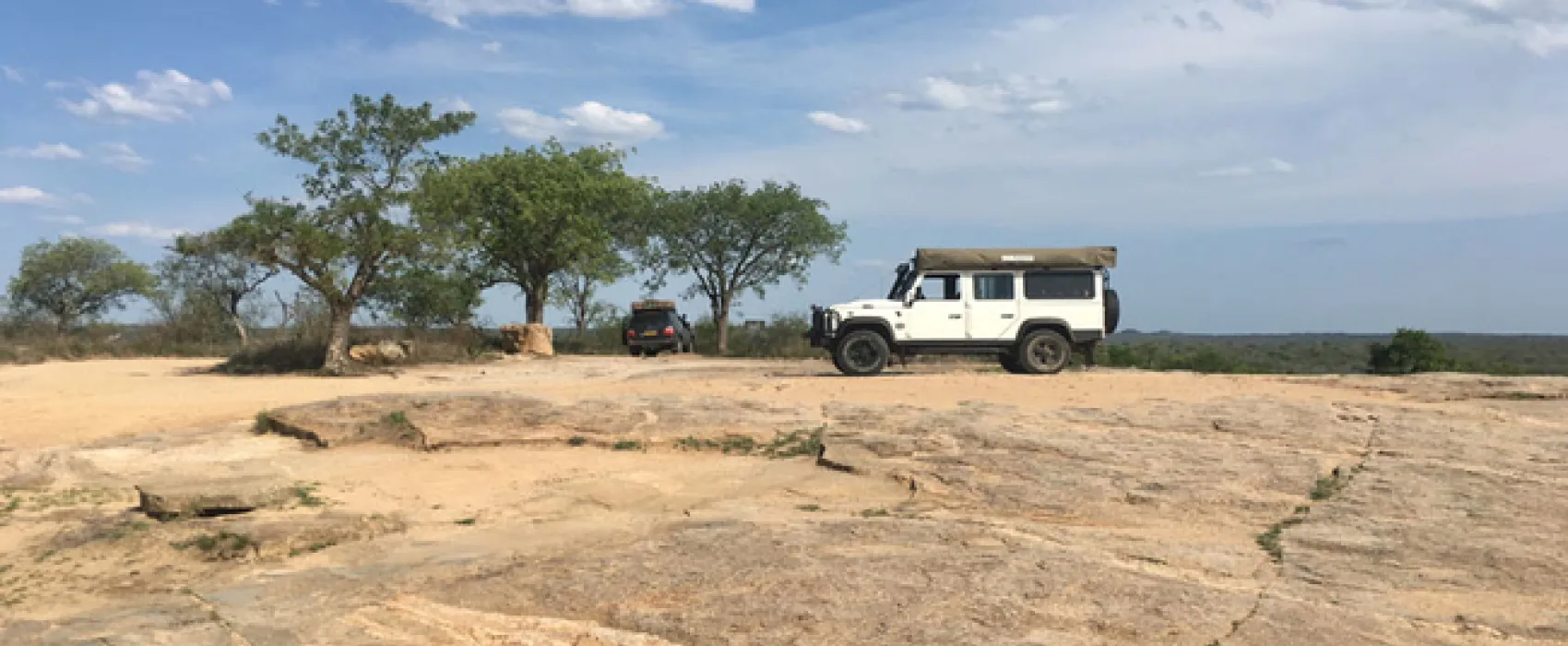 Gecko Kruger Camp Experience