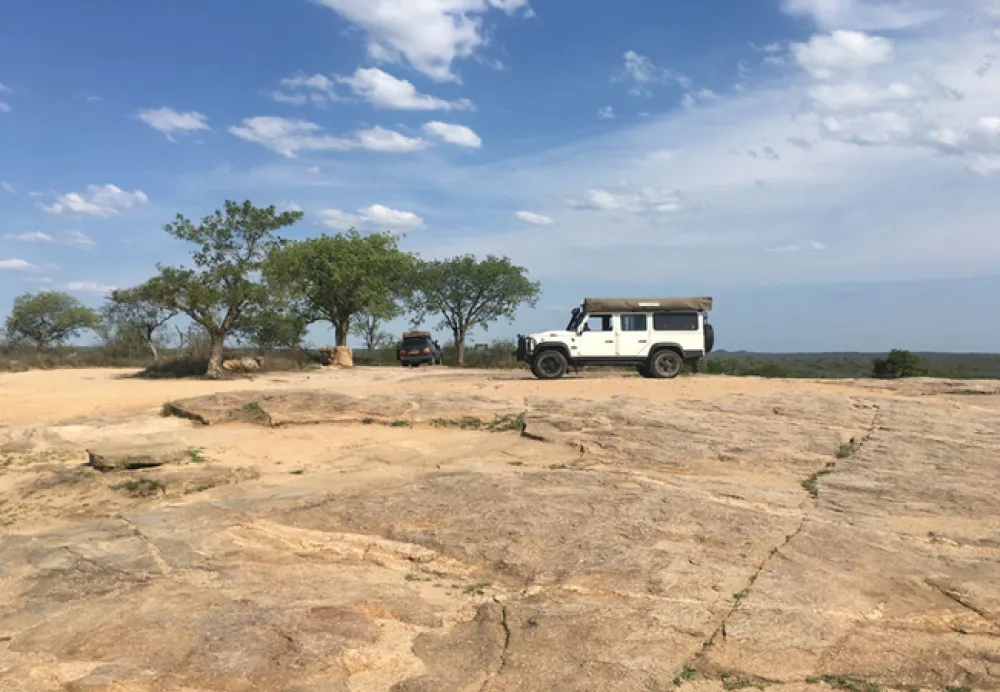 Gecko Kruger Camp Experience