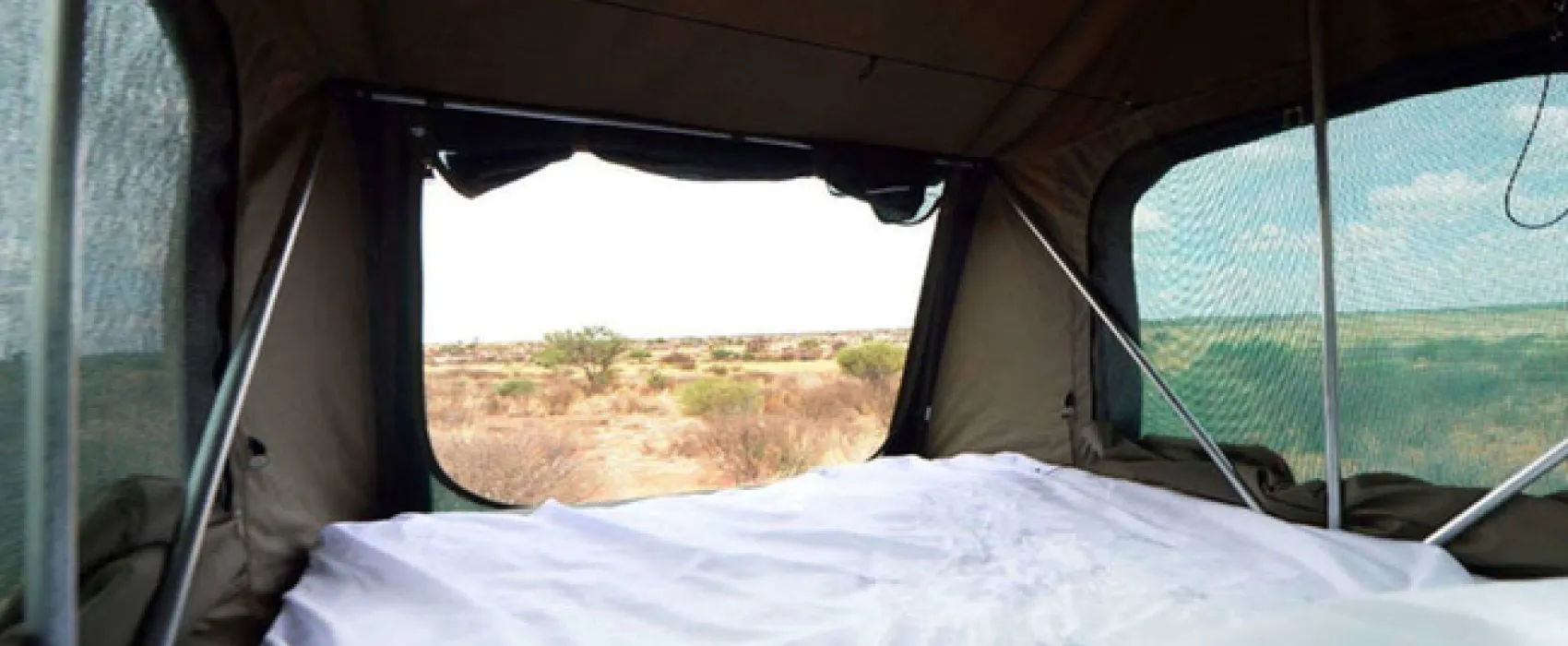 Gecko Kruger Camp Experience