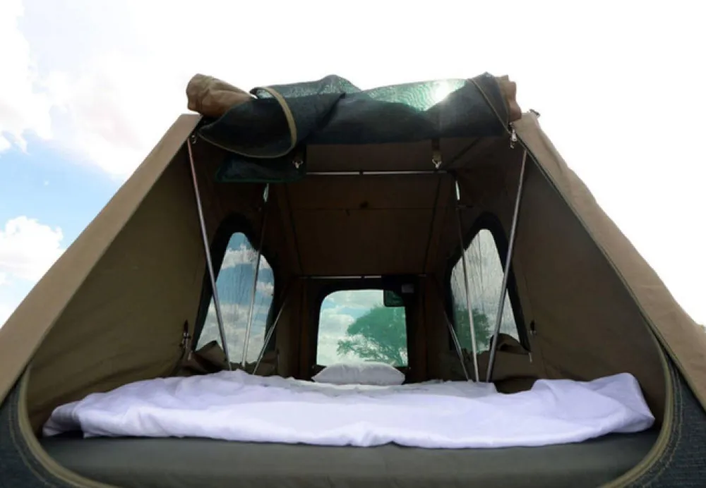 Gecko Kruger Camp Experience