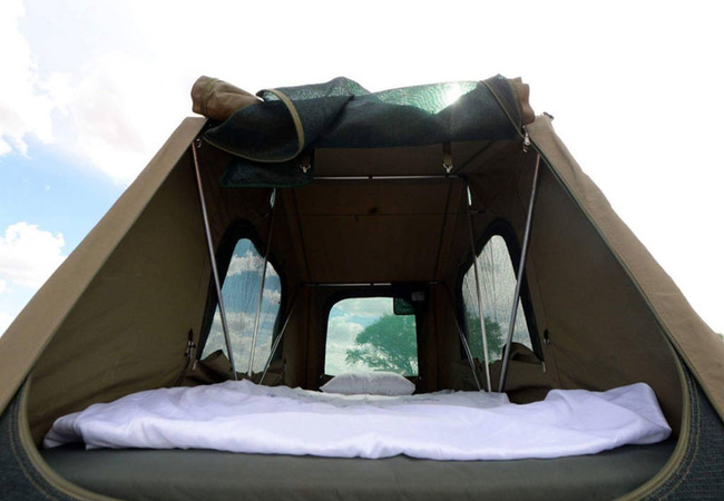 Gecko Kruger Camp Experience in South Africa - Spottocamp - Spottocamp