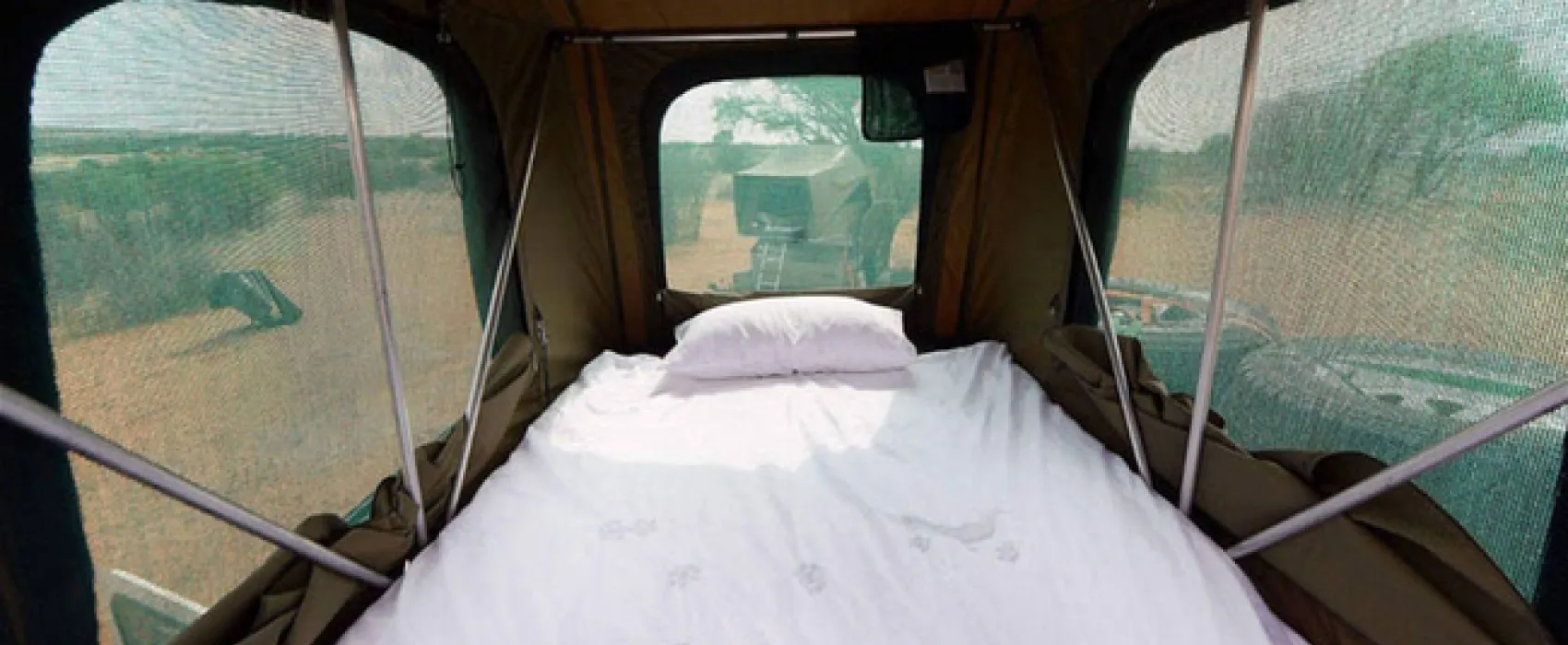 Gecko Kruger Camp Experience