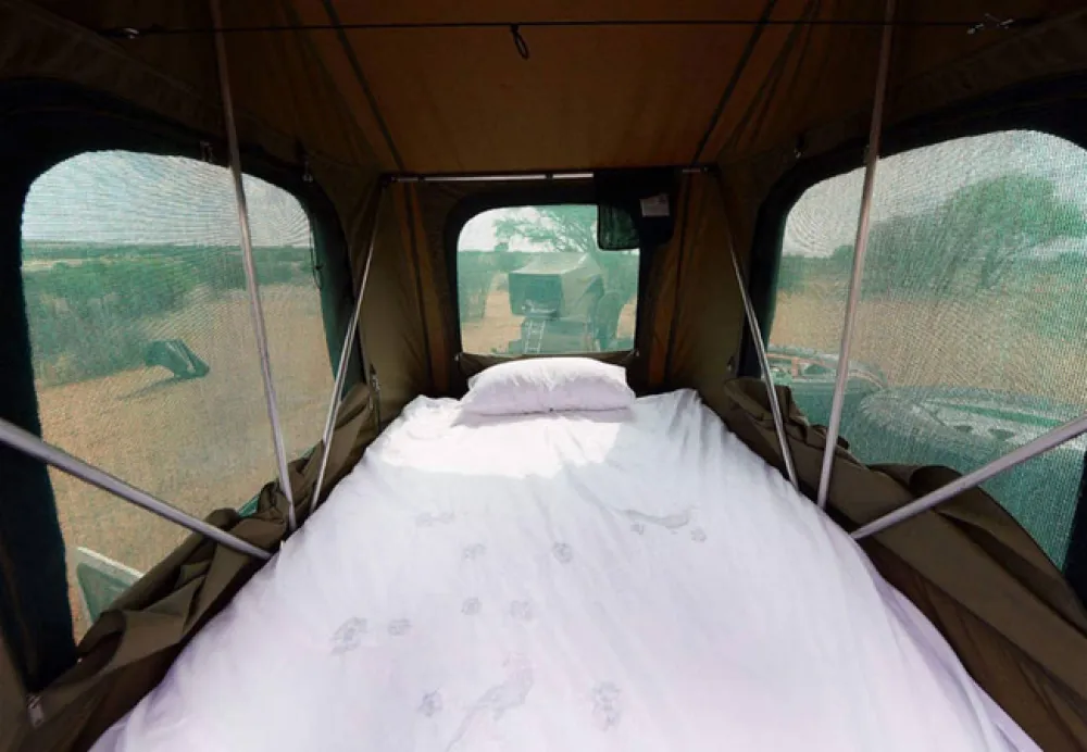 Gecko Kruger Camp Experience