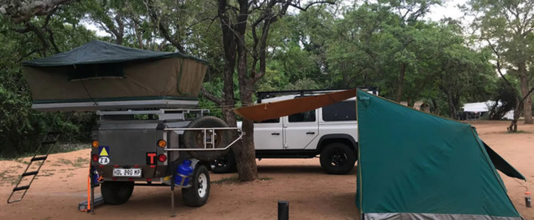 Gecko Kruger Camp Experience