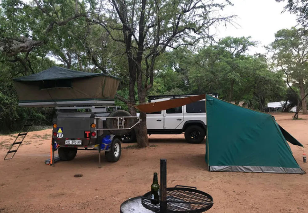 Gecko Kruger Camp Experience