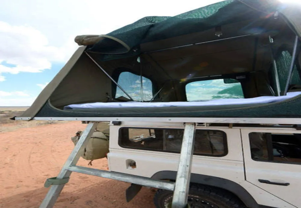 Gecko Kruger Camp Experience