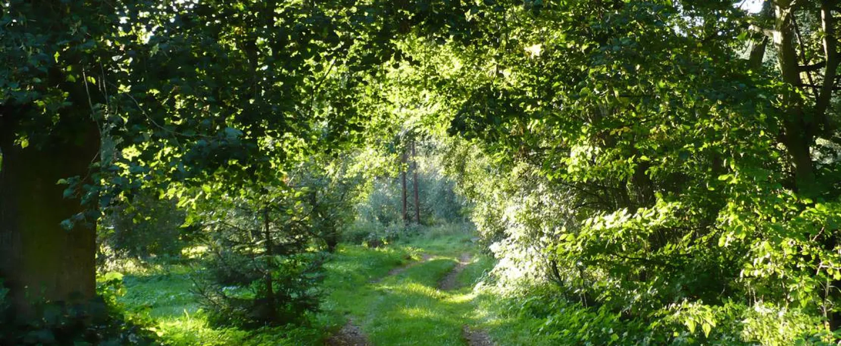 Kemp Sázava U Kavalíra